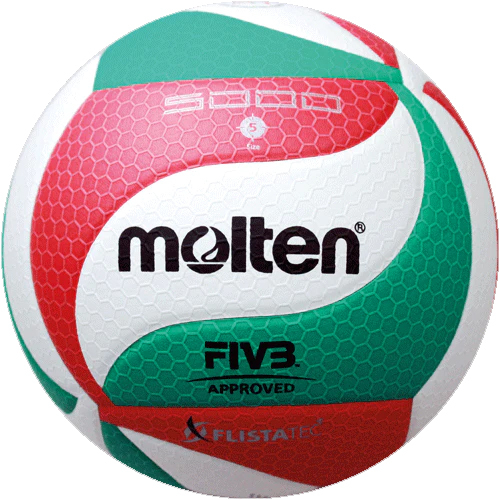 Molten Volleyball V5M5000-DE
